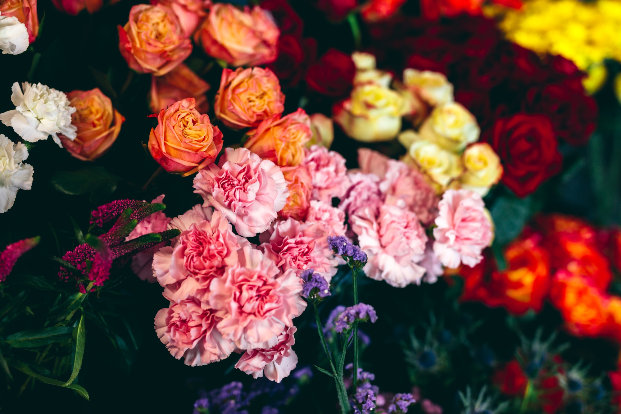 Snijbloemen in de bloemenwinkel